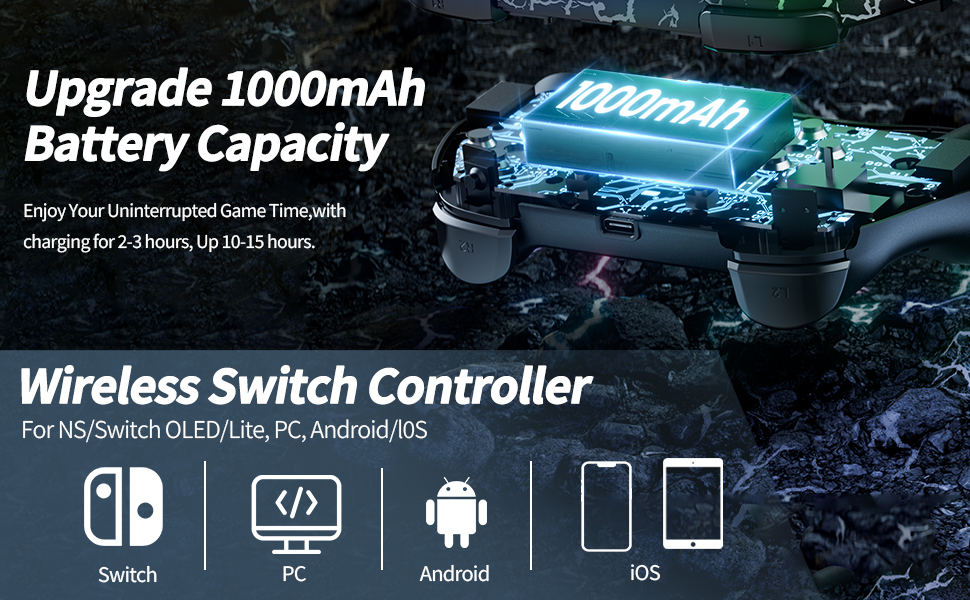 Switch Pro Controller