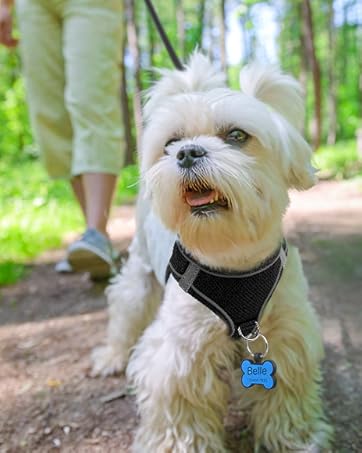 dog harness and silicone dag tag