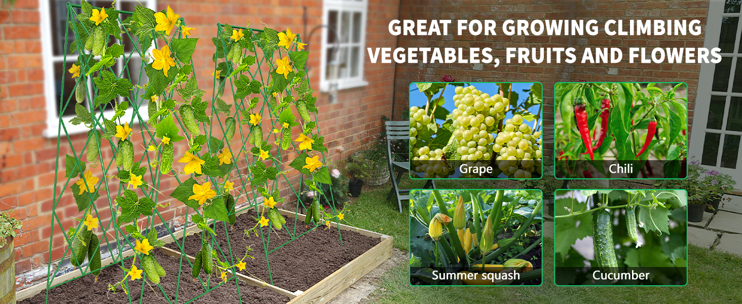 Large manufacture image 3