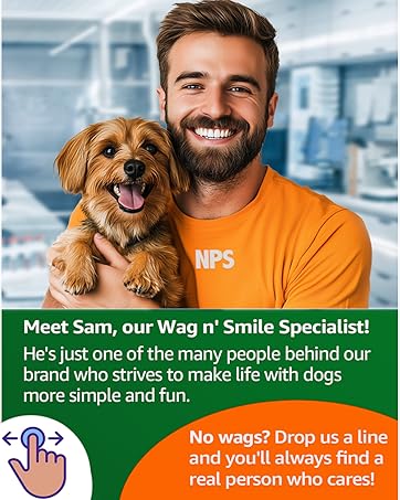 anti barking device for dogs