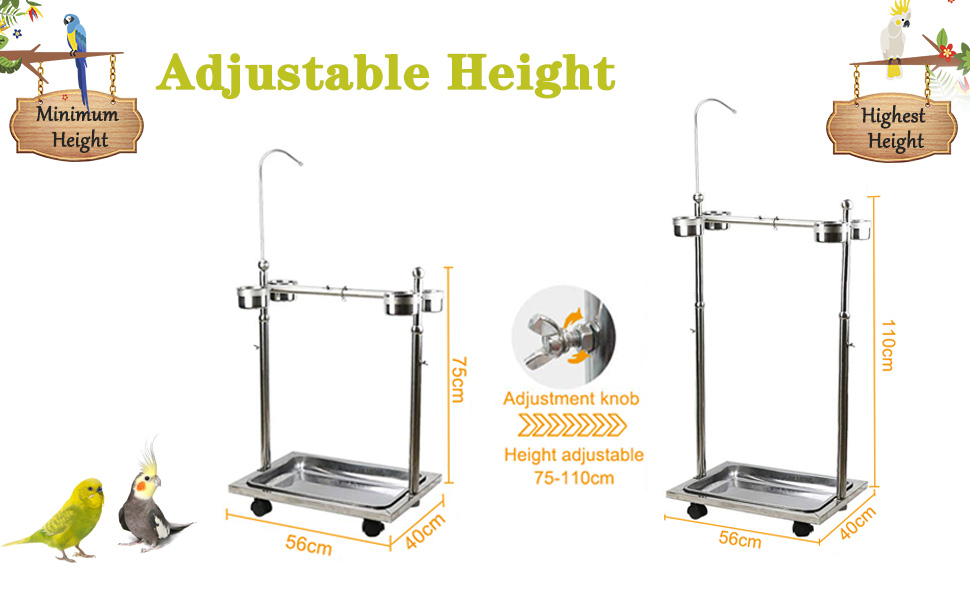 parrot stand