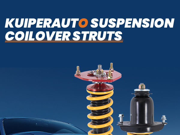 ピロロ Amazon.com: KUIPERAUTO Coilovers Lowering Struts Compatible