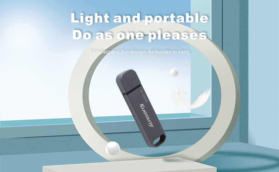 256GB external drive