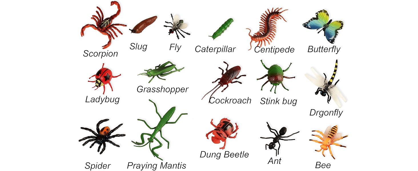 bug names