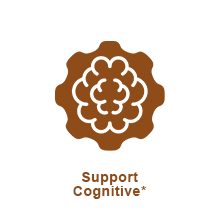 support cognitive