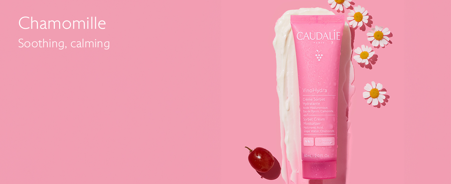 VinoHydra Sorbet Cream Moisturizer - 60 mL