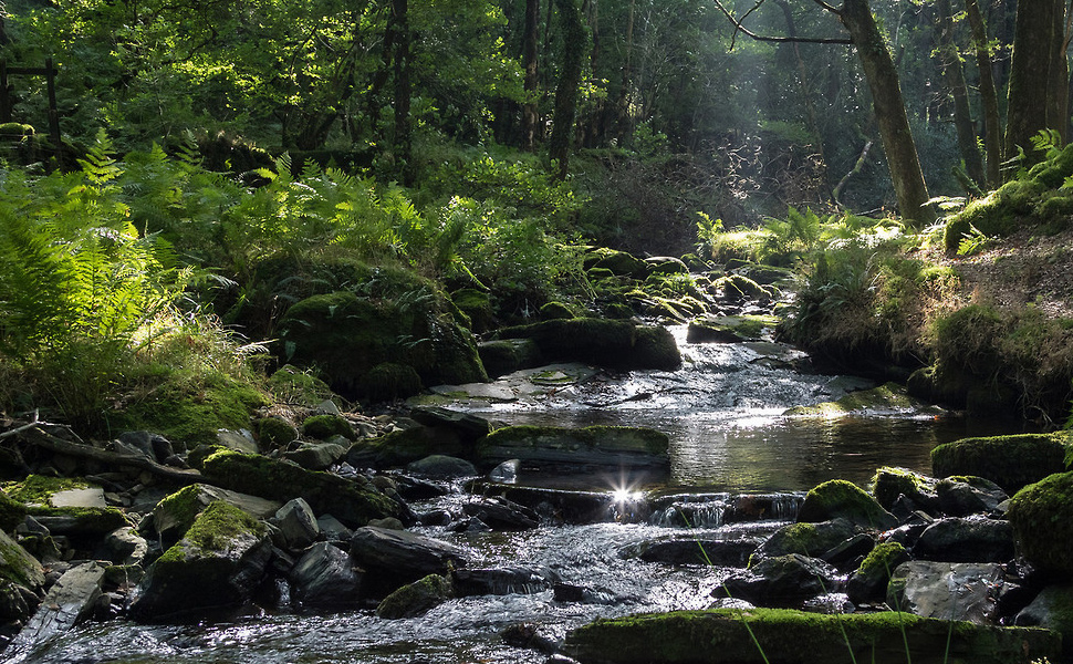 Reptile Habitat Waterfall