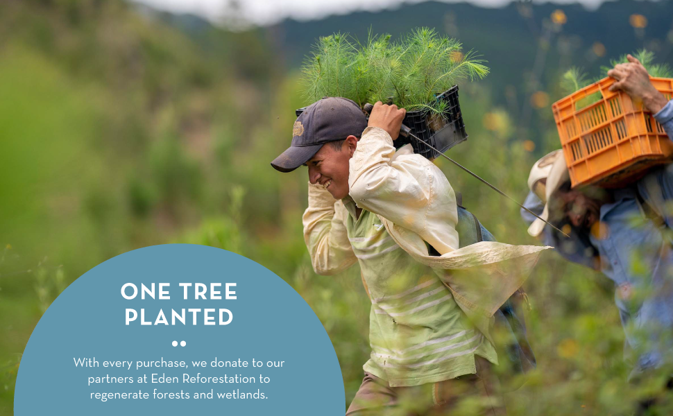 The Organic Skin Co Anti Aging Dream Cream with Vitamin C