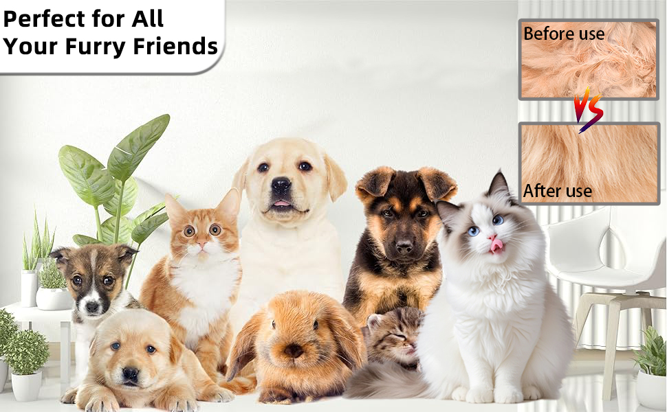 cat brush renu dog brush steam brush for dogs pet steam brush