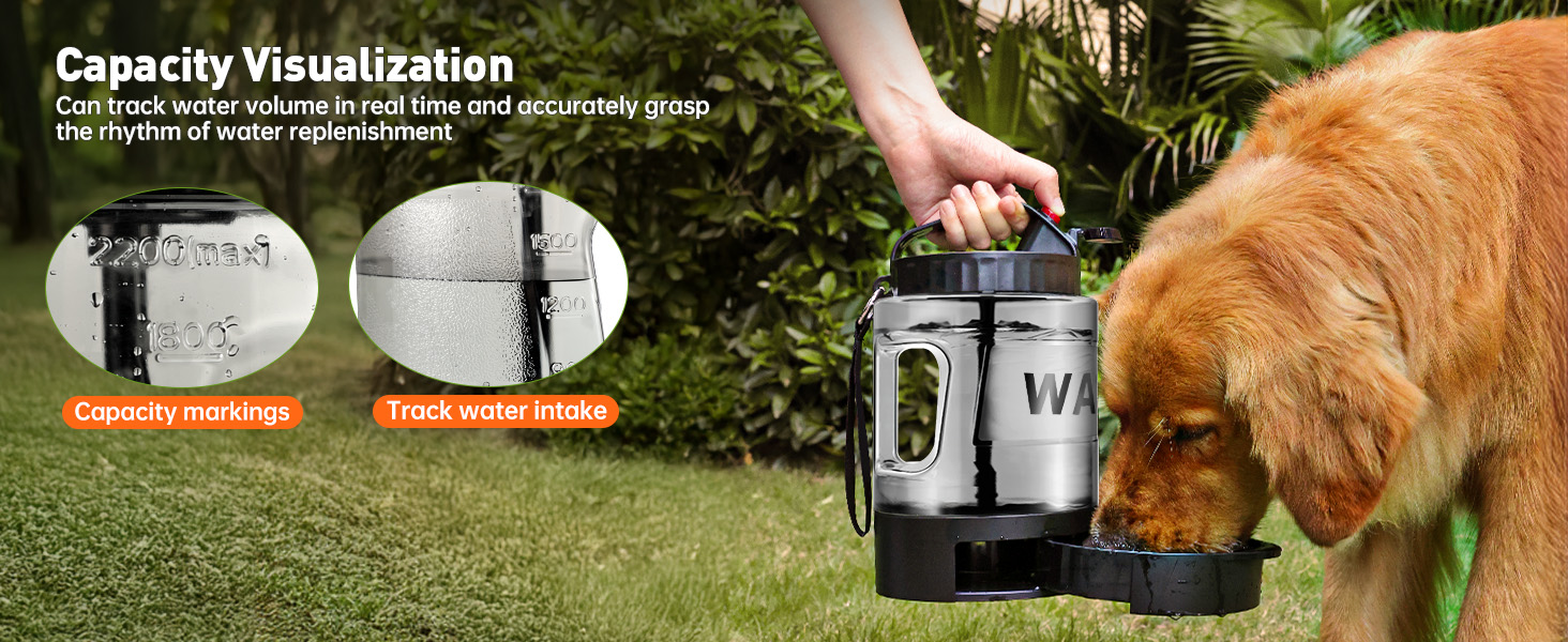 Capacity Visualization