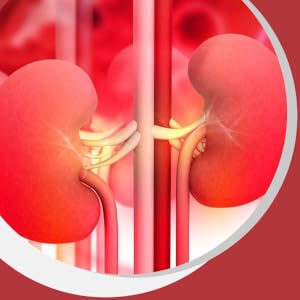 UPGEVIT Cranberry 800mg For Urinary Tract Health Support Dietary Supplement SPN-FOR1