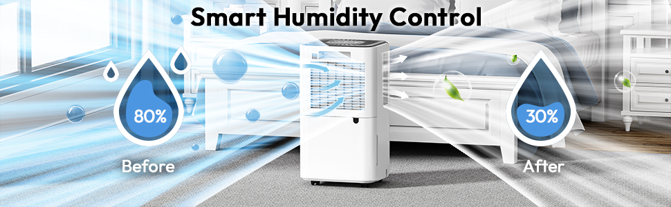 Dehumidifier