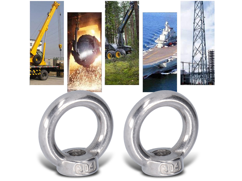 10個 アイナット M10 リフティングアイナット リングナット ロープフィッティング用 ナットリング m10 ステンレス フックアイナット 丸形 林業機械用 化学 自動車 橋梁 建設 鉄道 機械