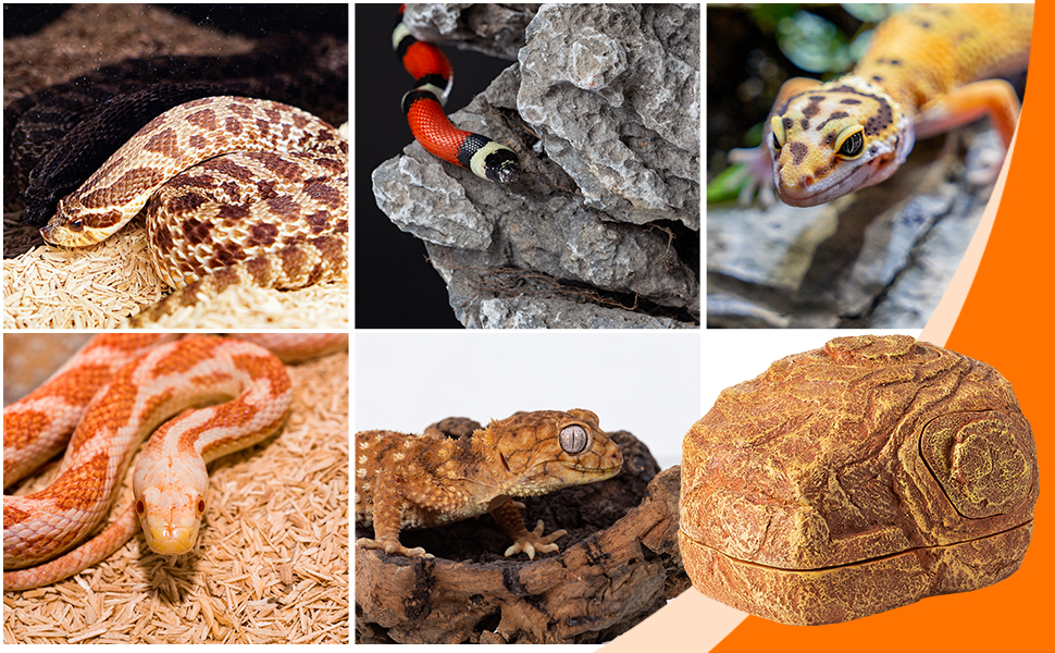 2 in 1 Gecko Hideout for Hide &amp; Rest &amp; Breed &amp; Feeding