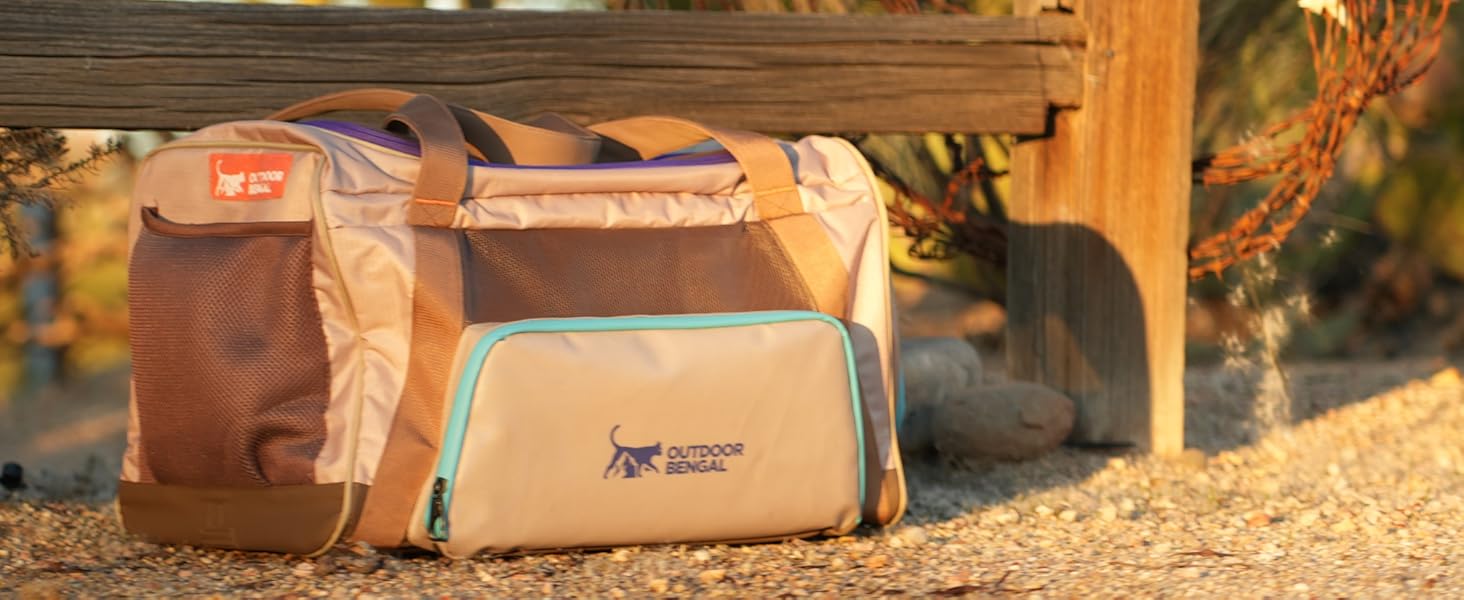 Zeppelin cat carriera