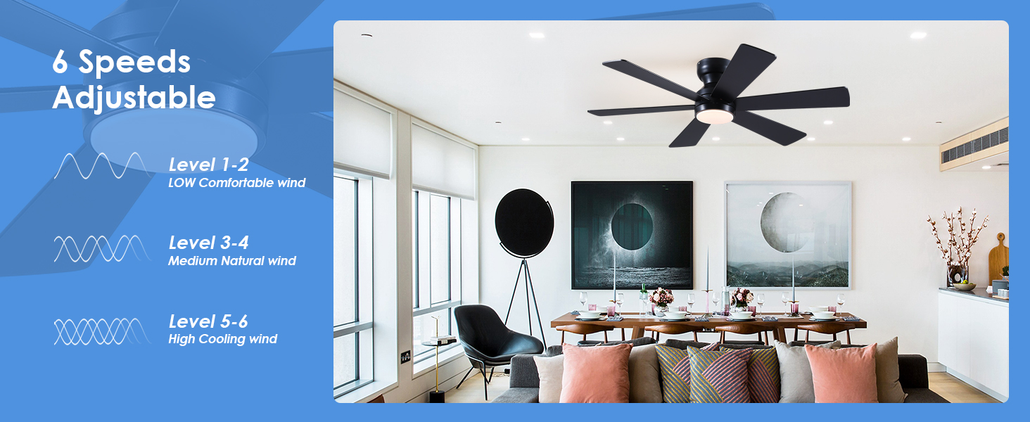 Ceiling Fans with Lights
