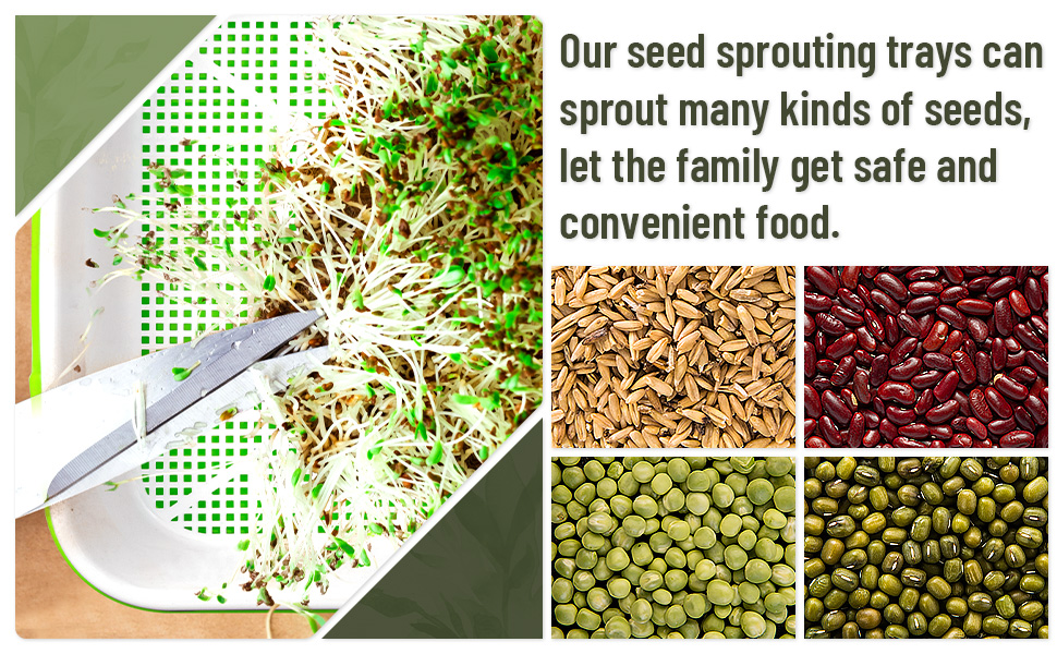 sprouter tray & microgreen grower