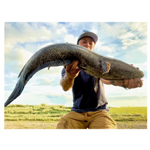 TRANSCENDENCE(トランスセンデンス) トラーパ 77/66 B+ TRANSCENDENCE(トランスセンデンス) Trapa 77/66 B+(トラーパ 77