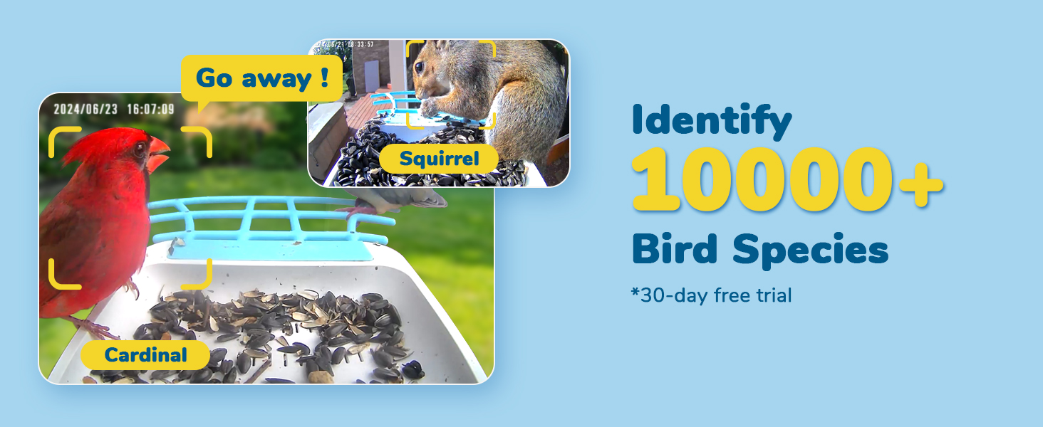 Bird Feeder with Camera