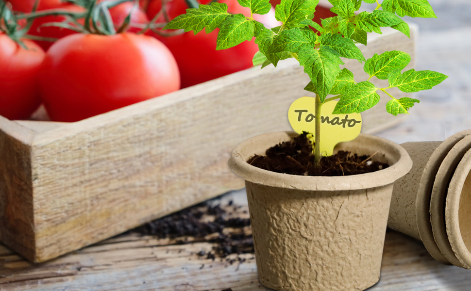 seedling strater pot