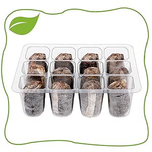 seed starter tray
