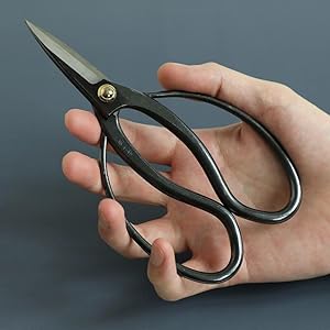 scissors_traditional_01_1000x1000px