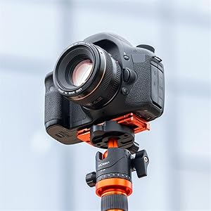 tripod