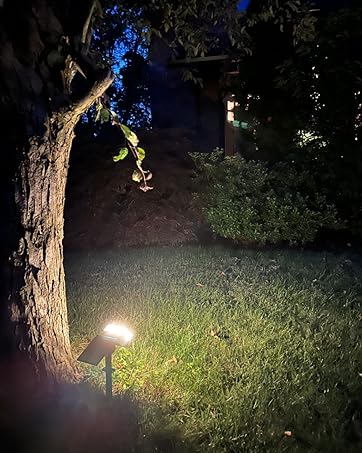 solar spot lights
