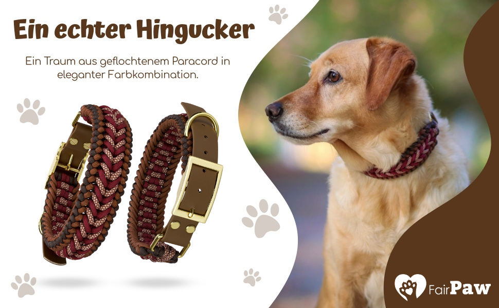 Wieviel Paracord Brauche Ich Für Ein Hundehalsband www.amazon.de