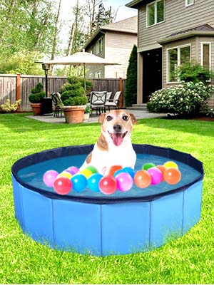 kiddie pool
