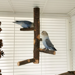 perchas para jaulas de pajaros 