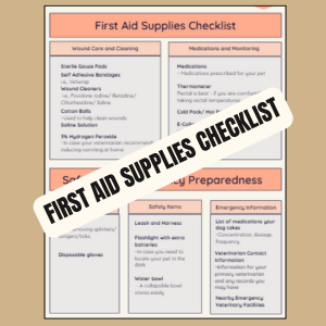 First Aid Checklist