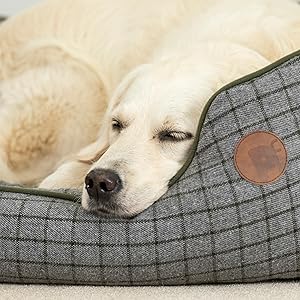 Petface Moss Green Square Dog Bed with Reversible Cushion, Machine Washable, Large (Pack of 1) 17 Little Petface Latex Teddy Bear Puppy Dog Toy