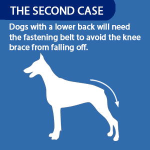 dog knee brace slip down 2