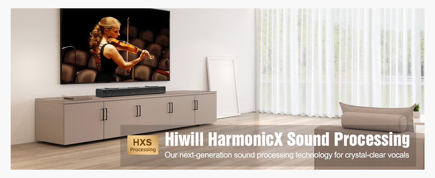 Hiwill HarmonicX Sound Processing