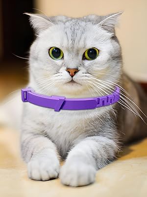 Calming for cats collar
