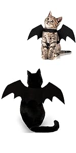 halloween costumes for kittens