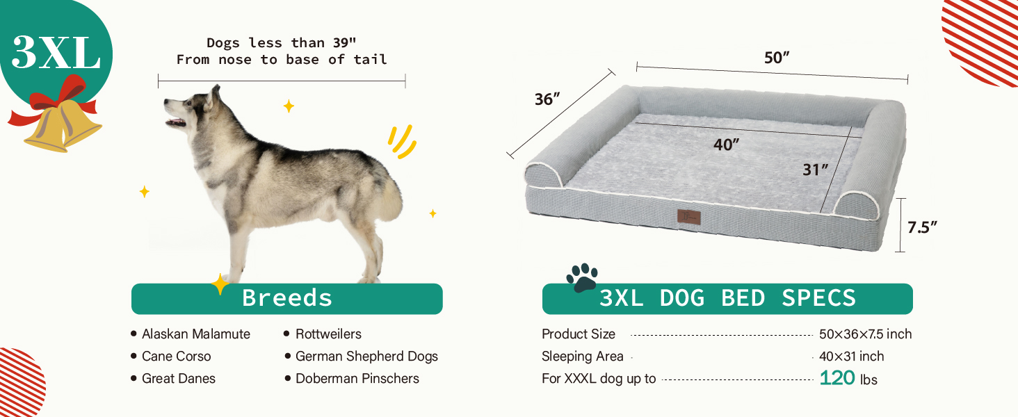 dog bed for humans