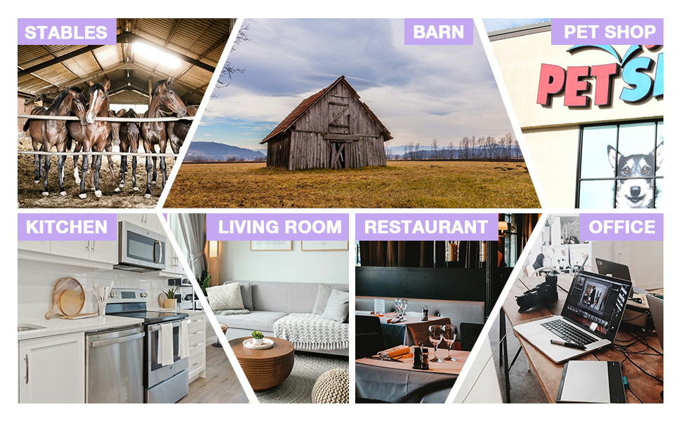 fruit fly traps for indoors