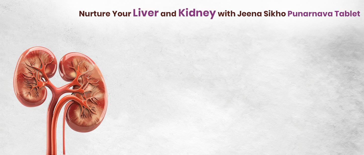 Buy Now Jeena Sikho Punarnava Tablet | Natural For Kidney Wellness |... 9 1
