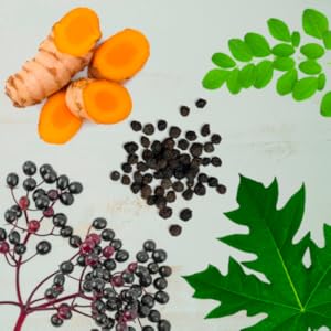 immune support supplement 