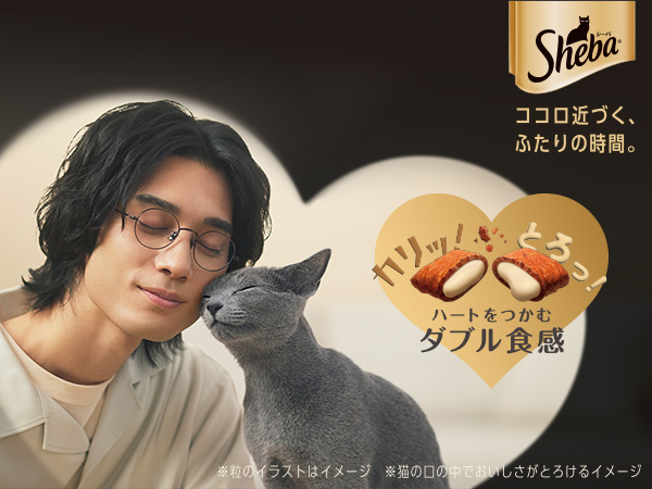 シーバデュオ 3種(17箱＋13箱＋6箱)　計36箱 楽天市場】【1種類を選べる】シーバデュオ(200g×12個)【シーバ(Sheba