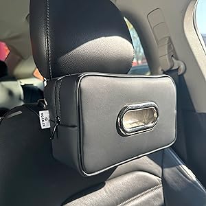 Tissue holder for car