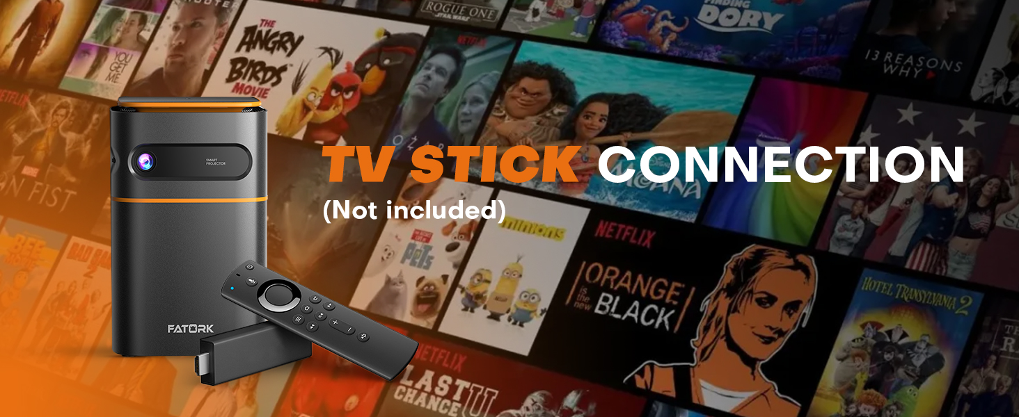 TV STICK CONNECTION(Not included)