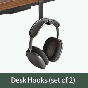 Desk Hooks (set of 2)