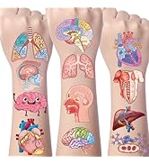 Yoyuspy Anatomy Human Temporary Tattoos - 200+ Human Anatomy Temporary Tattoo Kids Party Decorati...