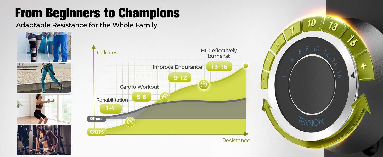 LUXECYCLES Stationary Bike