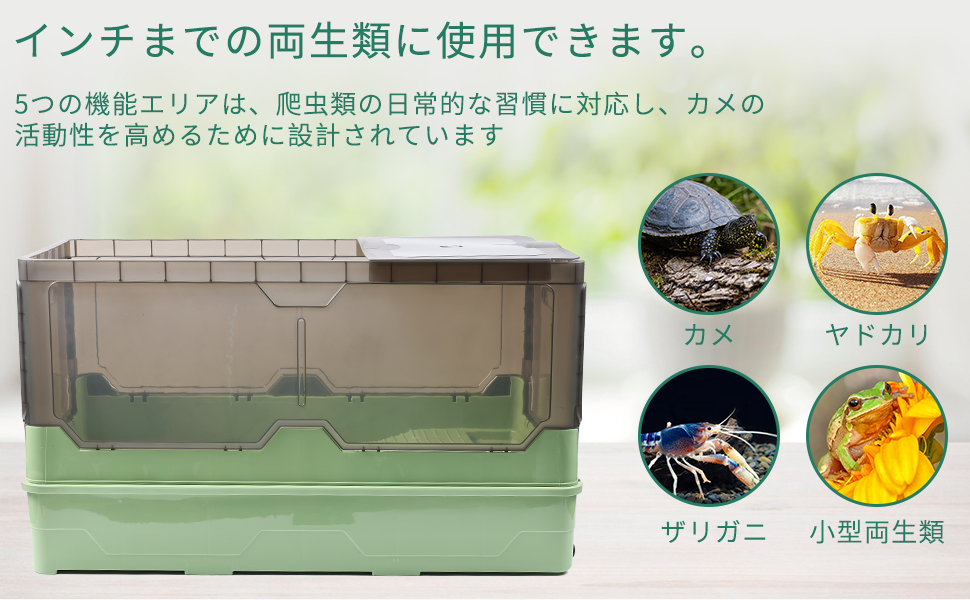 Amazon | 亀の水槽、無音滝流水 両生ペット飼育箱。 (Large