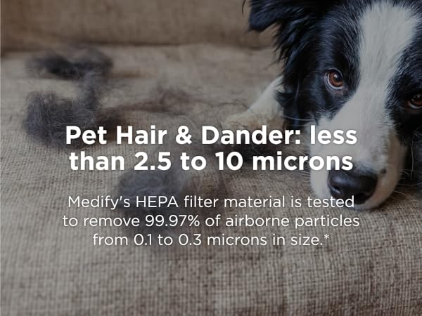 Pet Hair & Dander