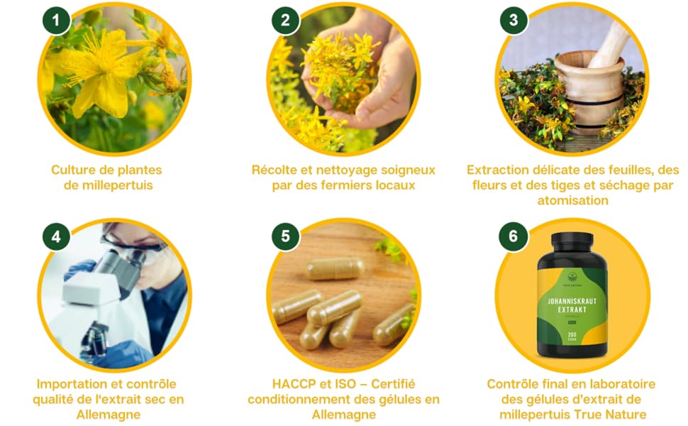 Millepertuis - 3600mg/jour - 1,35mg Hypéricine - 200 Gélules - Humeur, Sérénité & Sommeil - Vitamines B - Vegan - TRUE NATURE